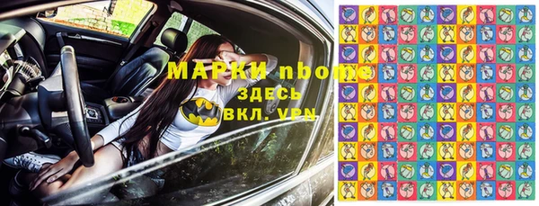 сатива Дмитров