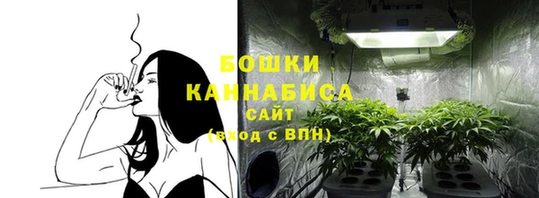 МДПВ Янаул