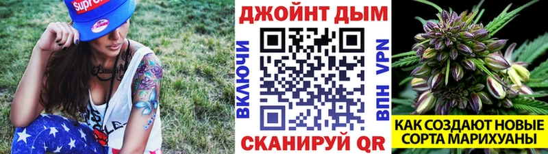 блэк спрут онион  Грайворон  Канабис планчик 